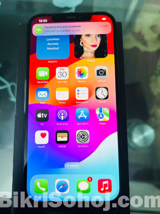 IPHONE 12 PRO MAX